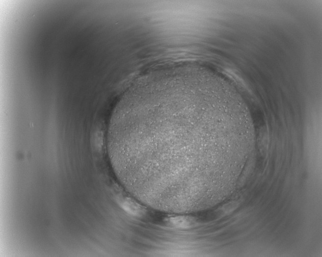 X0000068300417200605051938