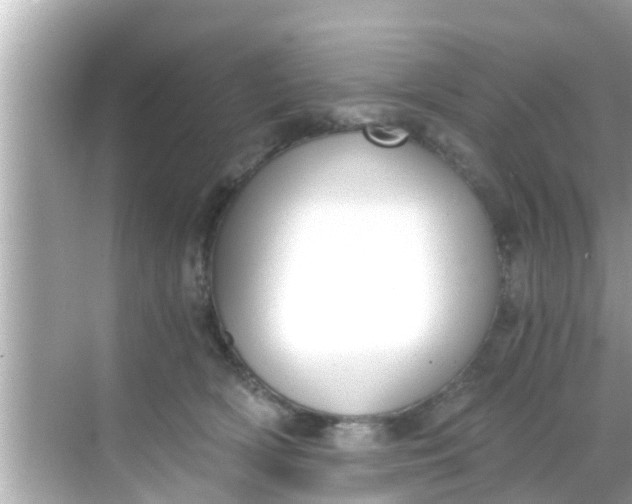 X0000068300418200605051938