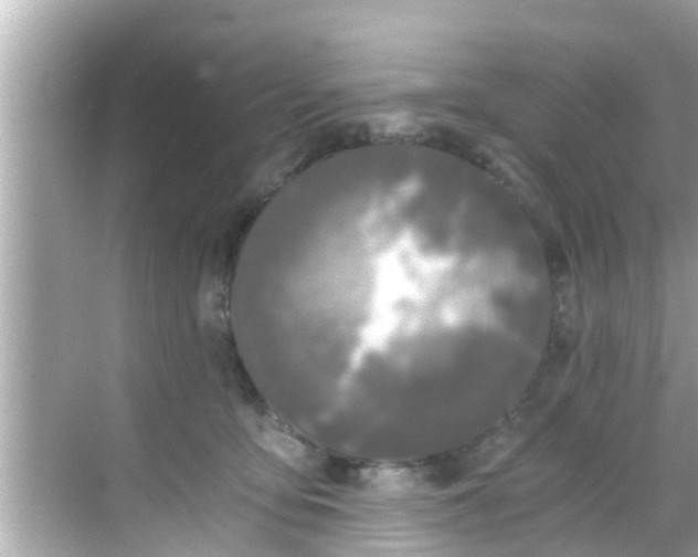 X0000068300419200605051938