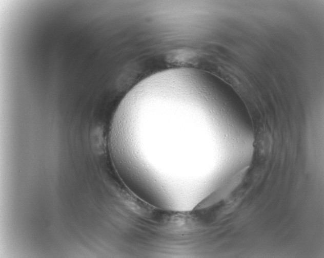 X0000068300420200605051938