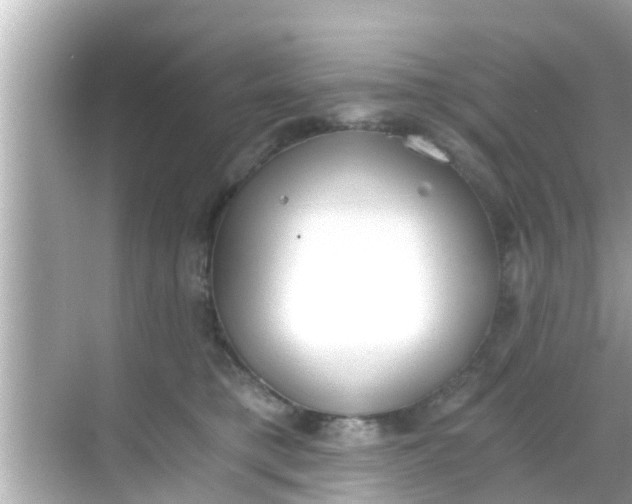 X0000068300421200605051938