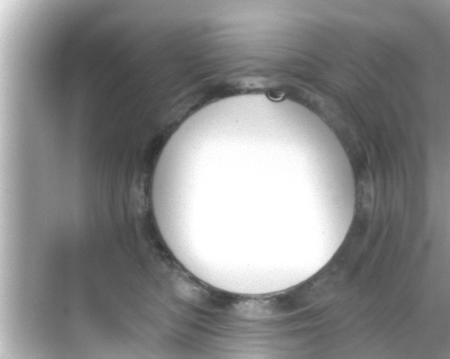 X0000068300422200605051938