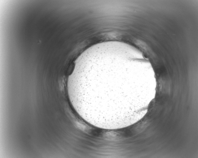 X0000068300423200605051938