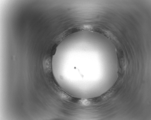 X0000068300425200605051938