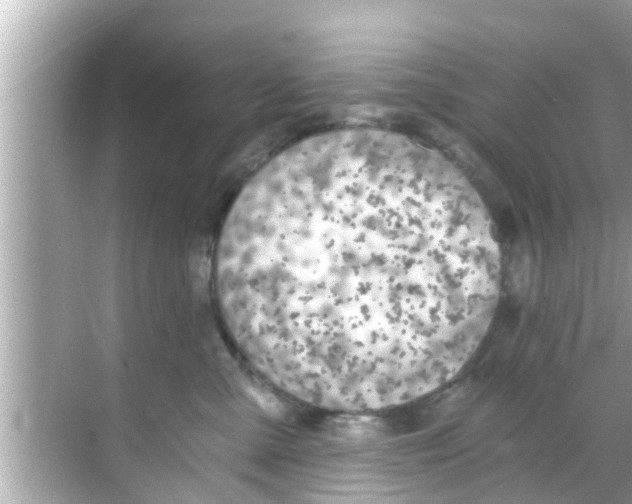 X0000068300427200605051938