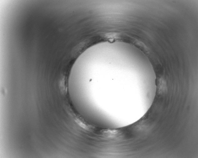 X0000068300428200605051938