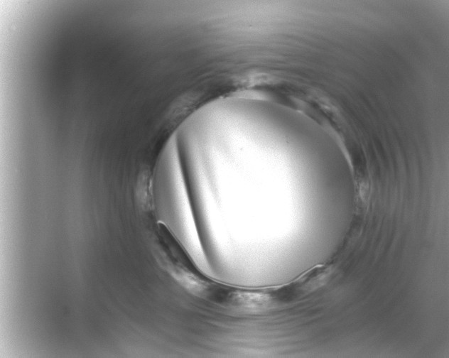 X0000068300429200605051938