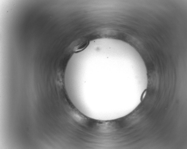 X0000068300430200605051938