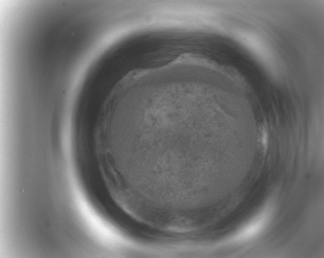 X0000068300431200605051938