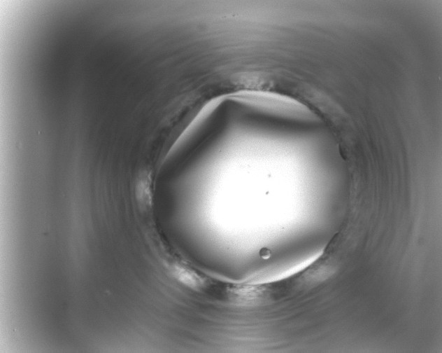 X0000068300432200605051938