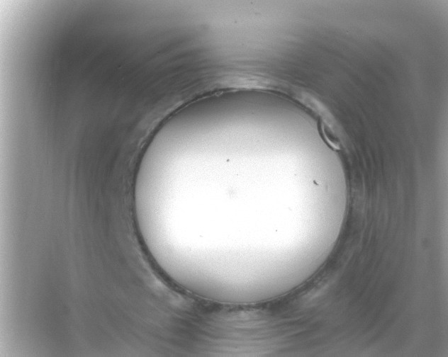 X0000068300433200605051937