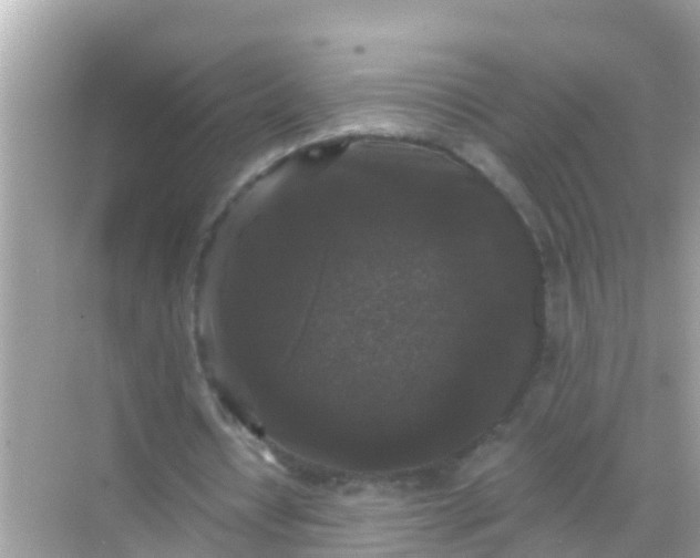 X0000068300434200605051937