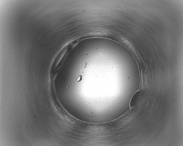 X0000068300435200605051937