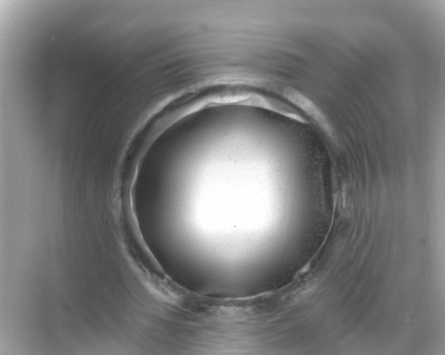 X0000068300436200605051937