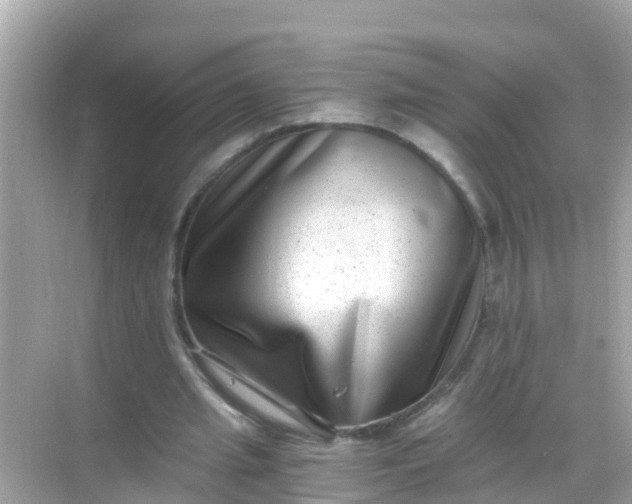 X0000068300437200605051937