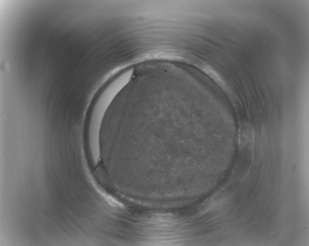 X0000068300438200605051937