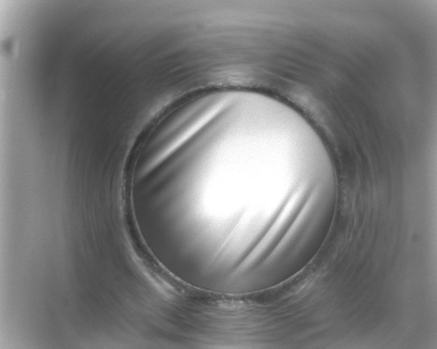 X0000068300439200605051937