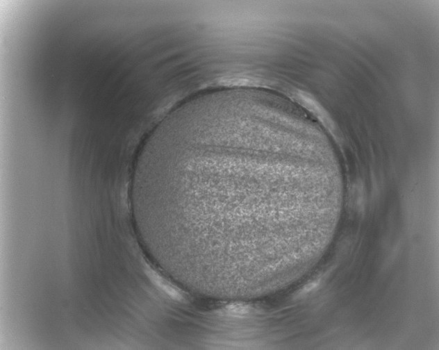 X0000068300441200605051937