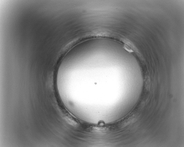 X0000068300442200605051937