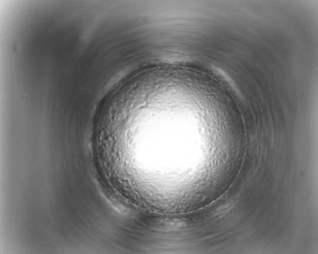 X0000068300443200605051937