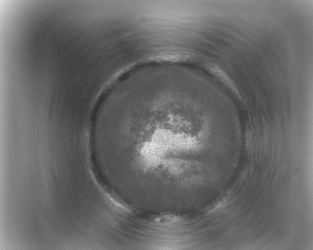 X0000068300444200605051937