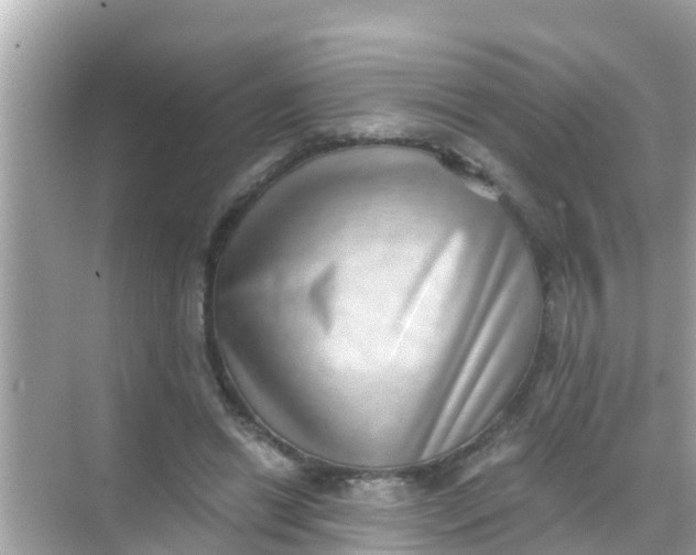 X0000068300446200605051937