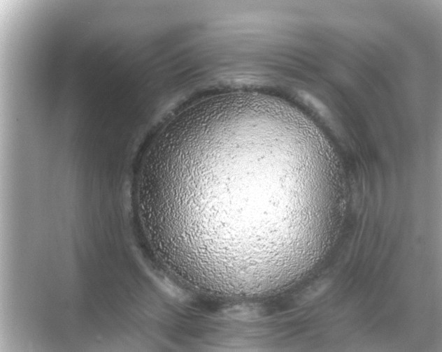 X0000068300447200605051937