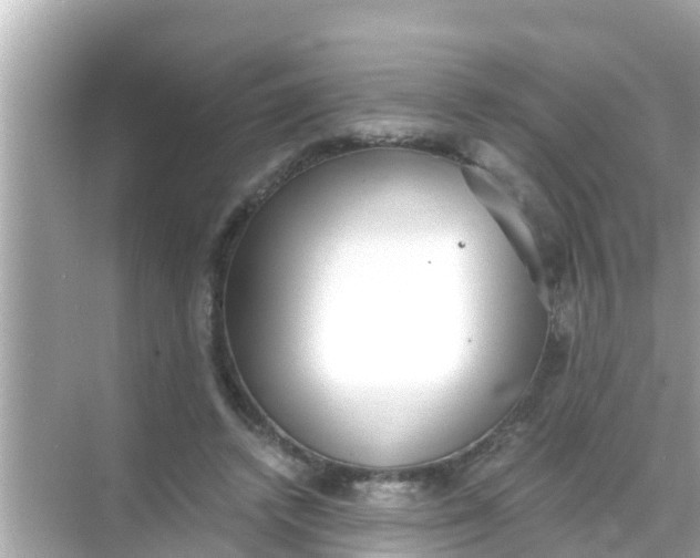 X0000068300448200605051937