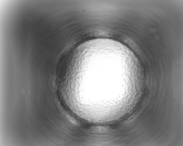 X0000068300449200605051937