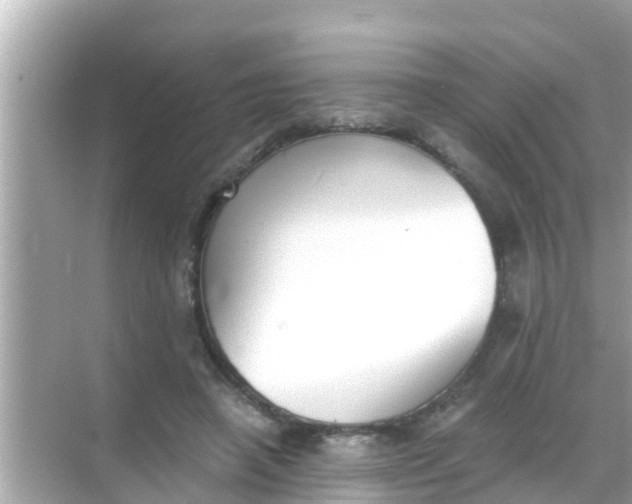 X0000068300450200605051937