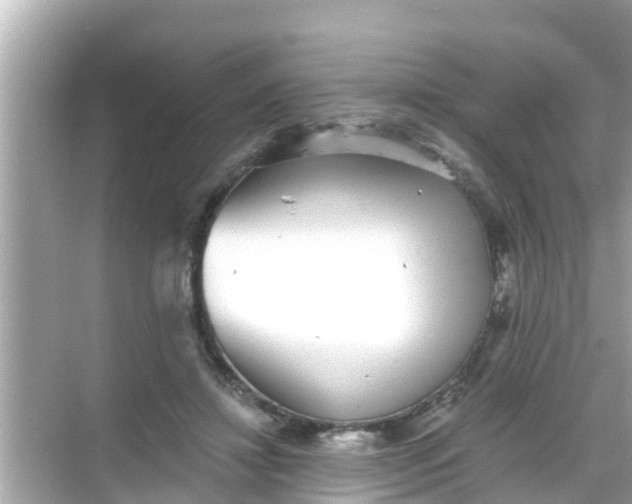 X0000068300452200605051937