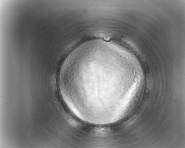 X0000068300453200605051937