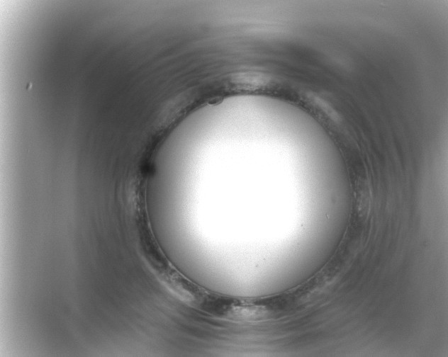 X0000068300455200605051937