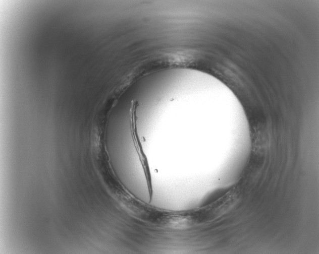 X0000068300456200605051937