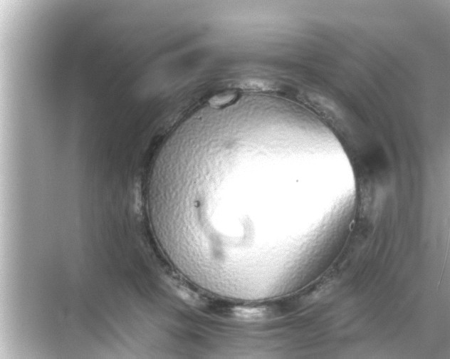 X0000068300457200605051937