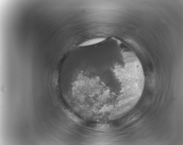 X0000068300458200605051937