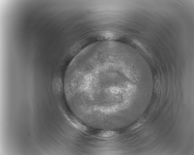 X0000068300459200605051937