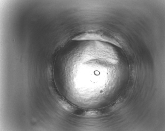 X0000068300461200605051937