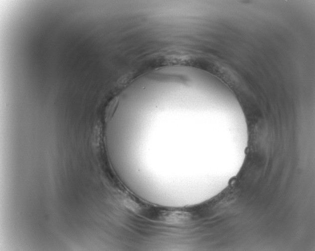 X0000068300463200605051937