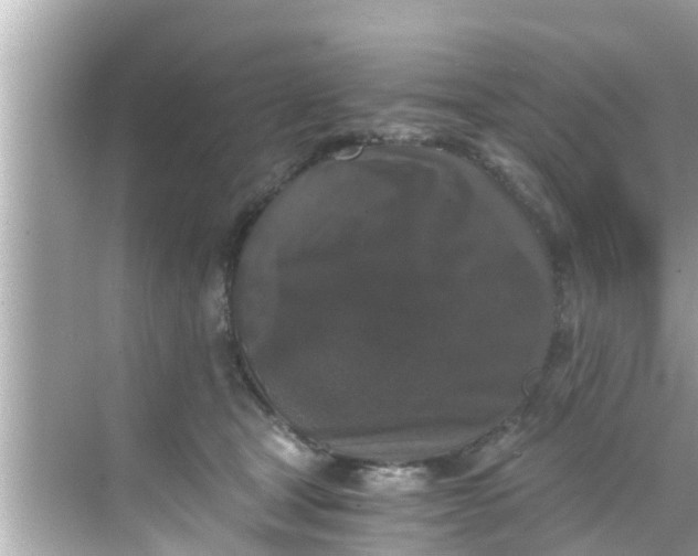 X0000068300465200605051937