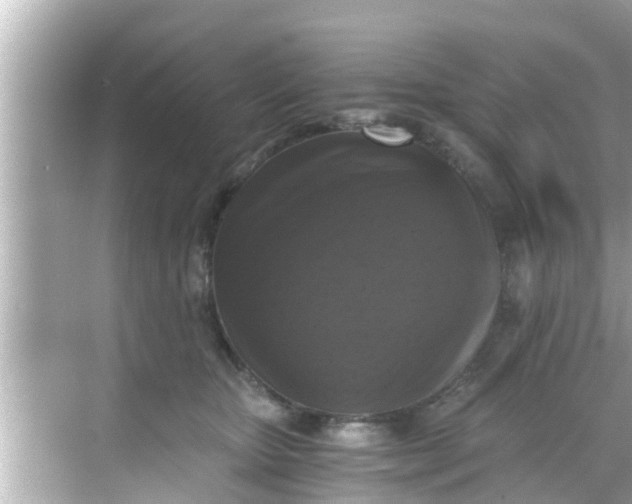 X0000068300467200605051937