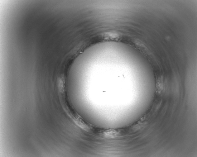 X0000068300468200605051938