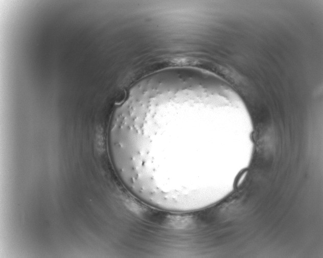 X0000068300469200605051938