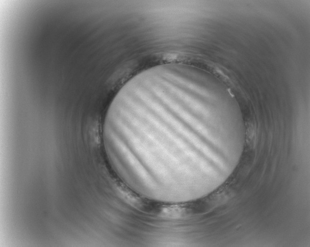 X0000068300470200605051938