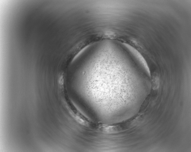 X0000068300472200605051938