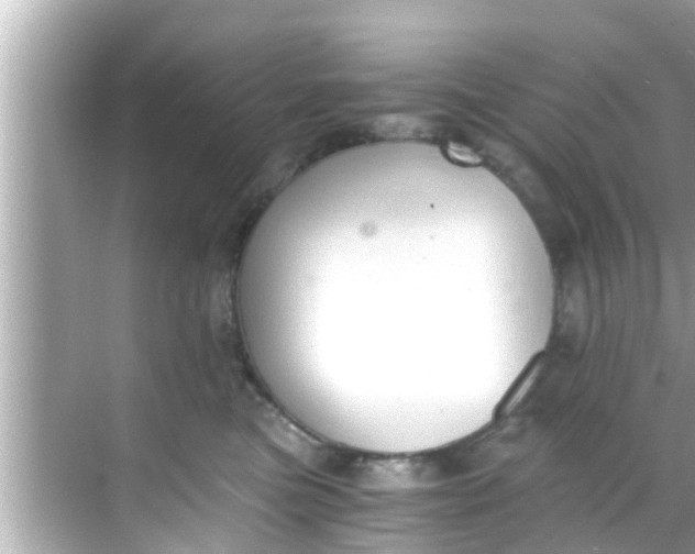 X0000068300473200605051938