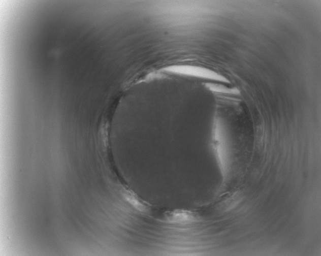 X0000068300475200605051938