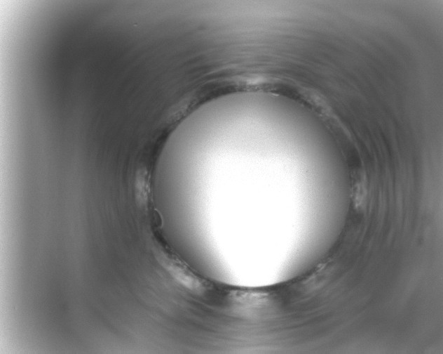 X0000068300476200605051938