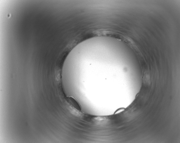 X0000068300477200605051938