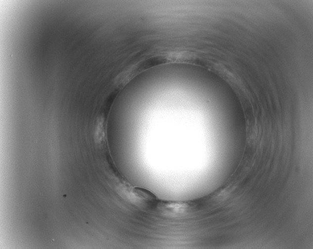 X0000068300478200605051938